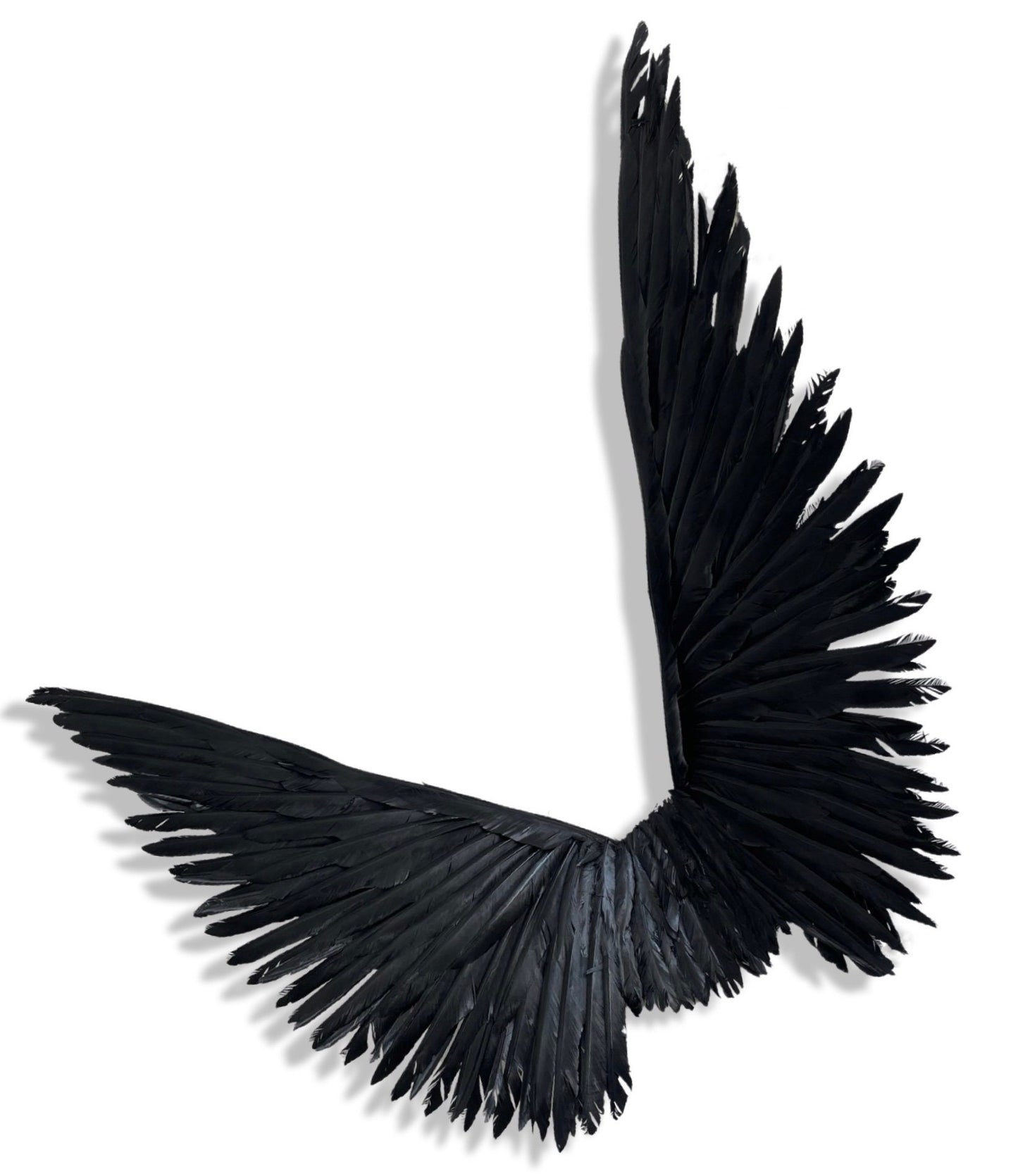 Black Angel Feather Wings