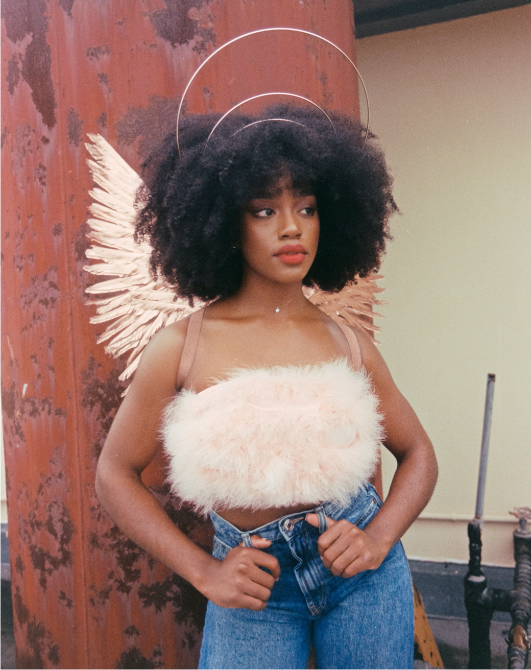 Rose Gold Angel Feather Wings