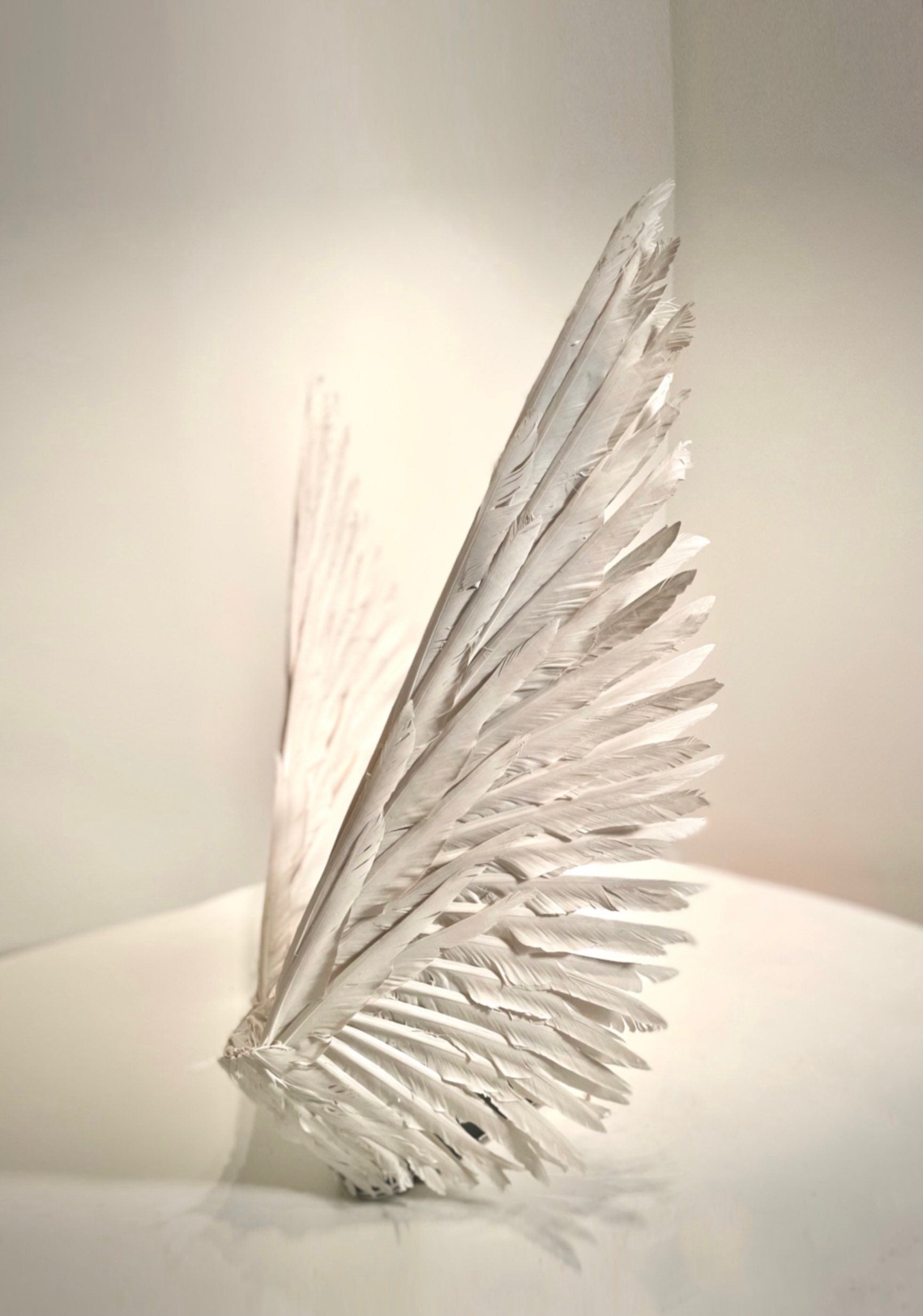 Gold Angel Feather Wings