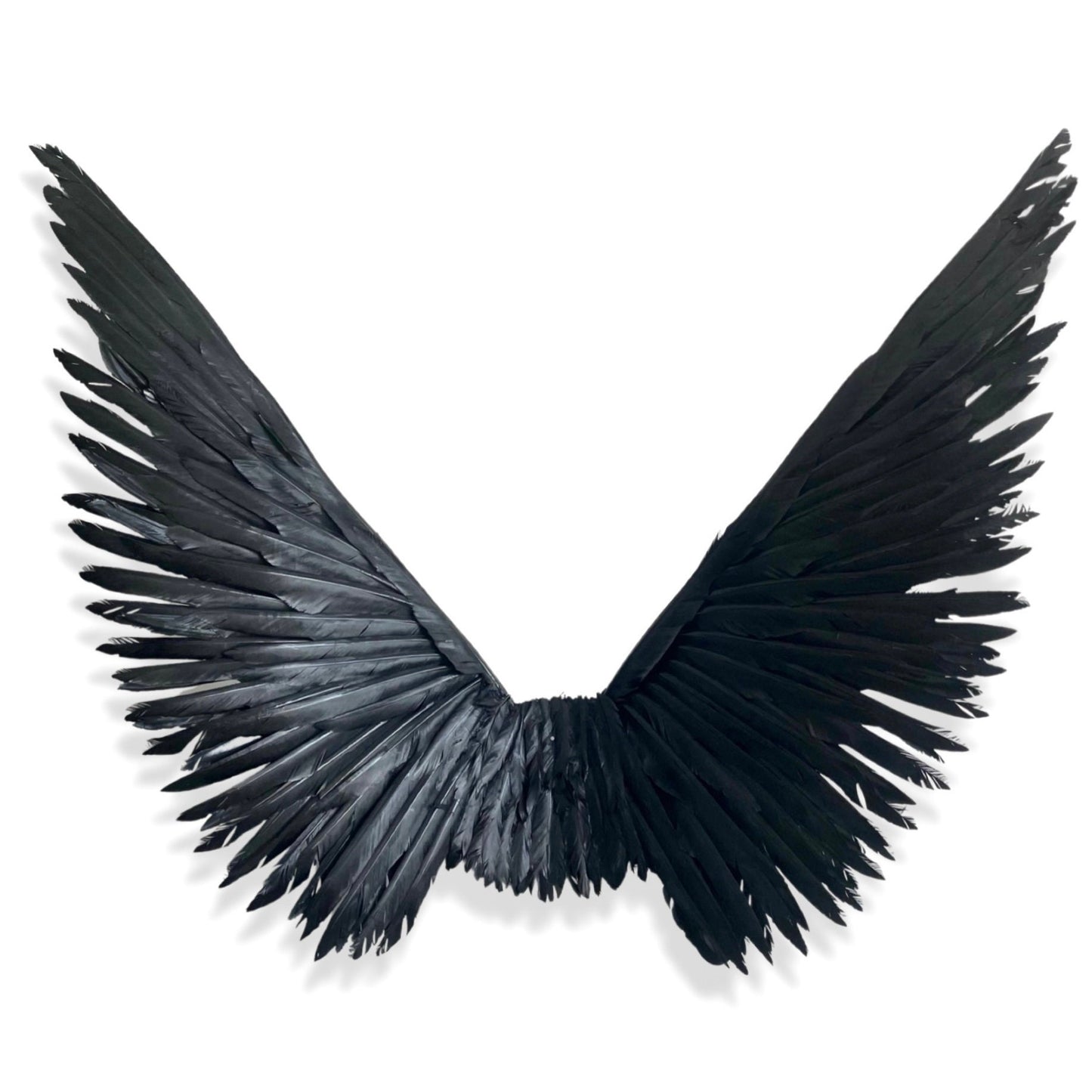 Black Angel Feather Wings